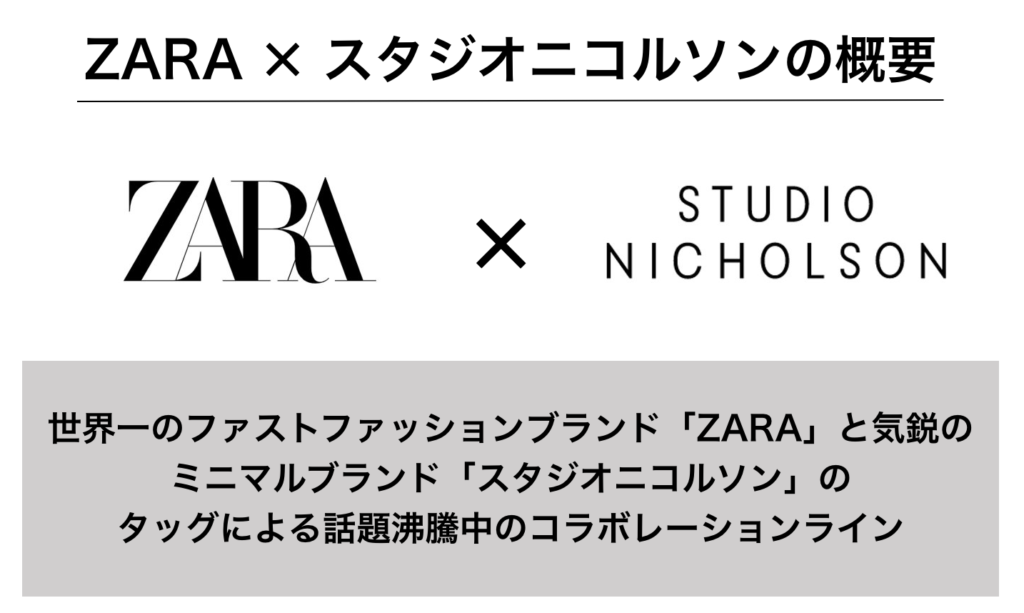購入】ZARA×スタジオニコルソンコラボのおすすめアイテム3選